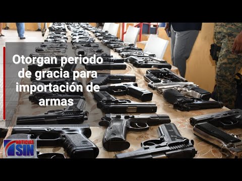 Otorgan periodo de gracia para importación de armas