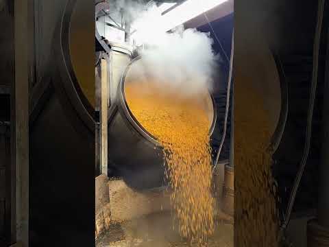 Ancient Baijiu Craft : Steaming Corn For Perfect Fermentation