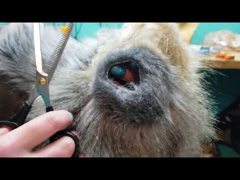 Trimming faux fur