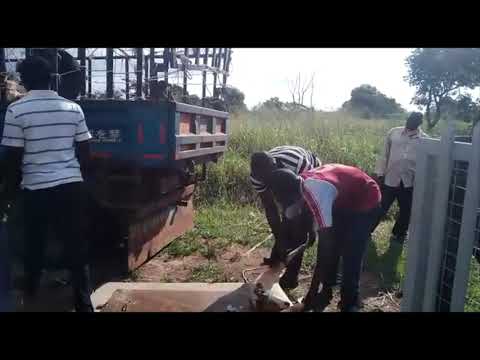 GOAT FARMING AT UNYAMA NTC