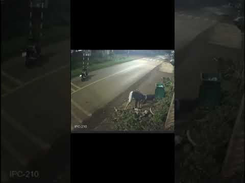 3 thiếu niên phóng xe như bay – cú đâm kinh hoàng vào cửa nhà dân!