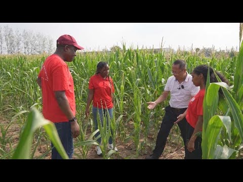 Bonds of Friendship: Sci-tech backyard program aids Africa's agricultural development