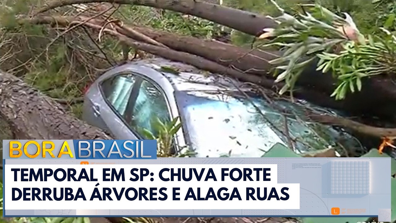Temporal em SP: Chuva forte derruba árvores e alaga ruas
