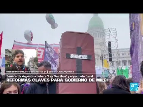 Informe desde Buenos Aires: se debate la Ley de Bases en el Congreso argentino • FRANCE 24 Español