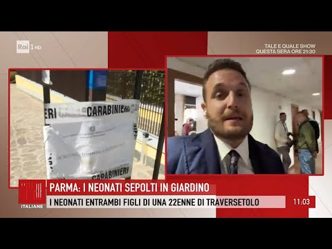 Neonati uccisi, arresti domiciliari per Chiara Petrolini - Storie italiane 20/09/2024