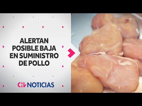 OPS ALERTA posible baja en el suministro de pollo en Sudamérica por gripe aviar - CHV Noticias