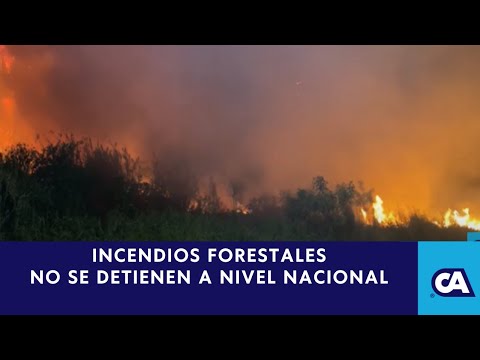 Crisis de Incendios: Guatemala Lucha contra el Fuego