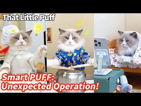 Smart Puff: Unexpected Operation!? | That Little Puff