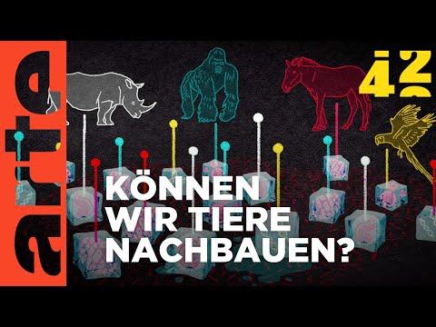 Können wir die Mammuts zurückholen? | 42 - Die Antwort auf fast alles | ARTE