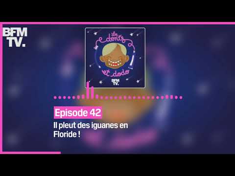 Episode 42 : Il pleut des iguanes en Floride ! - Les dents et dodo