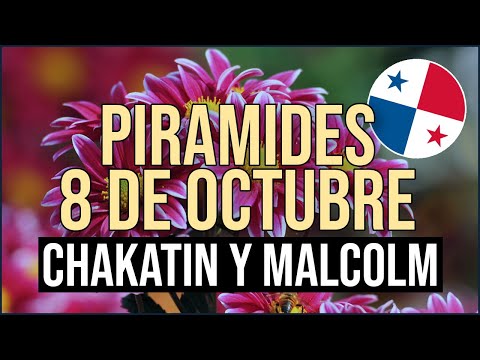 Pirámide Lotería de Panamá Domingo 8 de Octubre 2023  - Pirámide de Chakatin y Malcolm Ramos