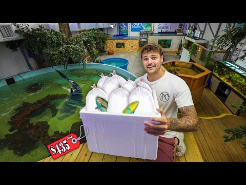 Buying FISH for ALL of My PONDS!! We got a whole lot of fish today! One species for each pond/aquarium. Visiting a fish store I have o