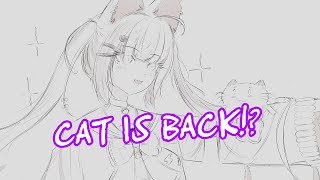 THE CAT IS BACK!?