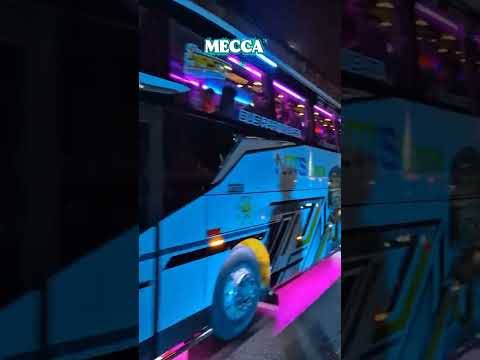 BUS BASURI MODE TERANG 🥳👍 #bus #basuri #shorts #busmania #trending #hunting