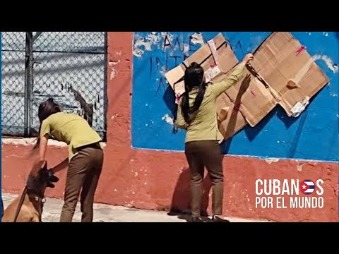 A falta de pintura; terminan tapándola carteles contra la dictadura con cajas de pollo “Made in USA”
