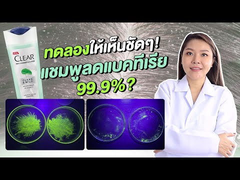 (เช็คสูตร)พาไปทดสอบ-แชมพู-clea (เช็คสูตร)พาไปทดสอบ-แชมพู-clea