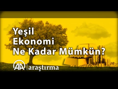 İklim değişikliğiyle mücadele: Yeşil ekonomi ne kadar mümkün?