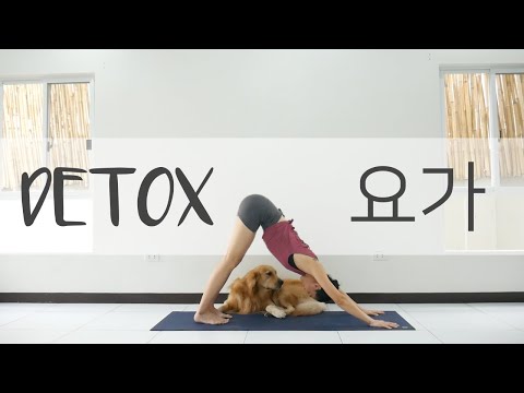 [<strong>EVA</strong> YOGA]20분 디톡스 요가