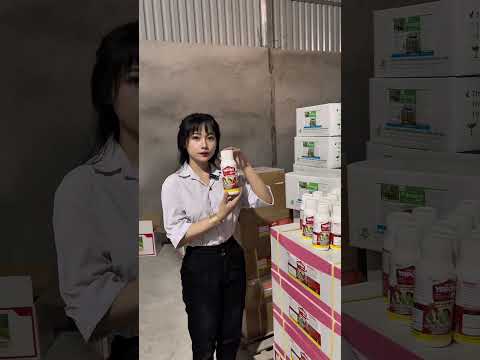 Giới Thiệu vtnn Đình Kiên