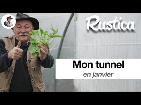 Mon tunnel en janvier