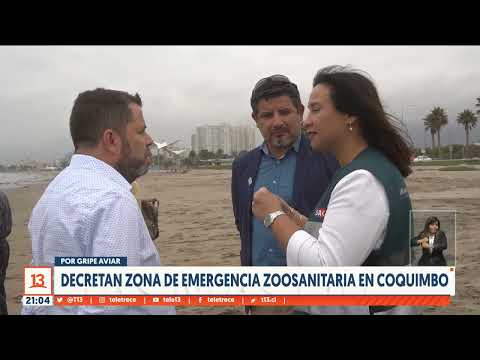 Decretan zona de emergencia zoosanitaria en Coquimbo por gripe aviar