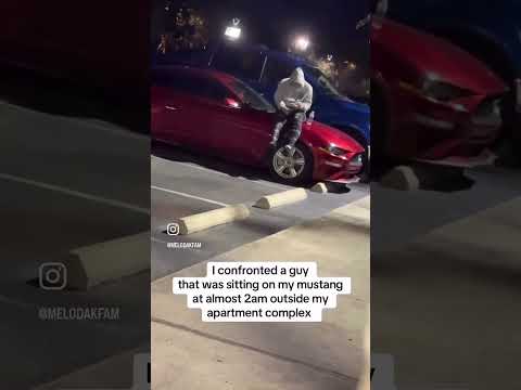 The Art of Baking: From Classic Bread to Artisan Pastries