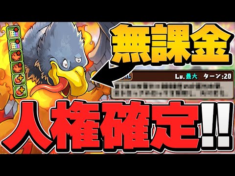 パズドラ史上最強ブレス！この無課金キャラ取らないと、絶対に後悔します。ジャミラス使ってみた【パズドラ】