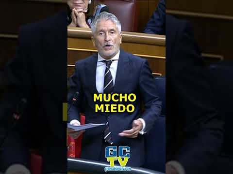 Da mucho miedo que el PP pueda estar en el Gobierno Marlaska #pp #vox #psoe #sumar #podemos