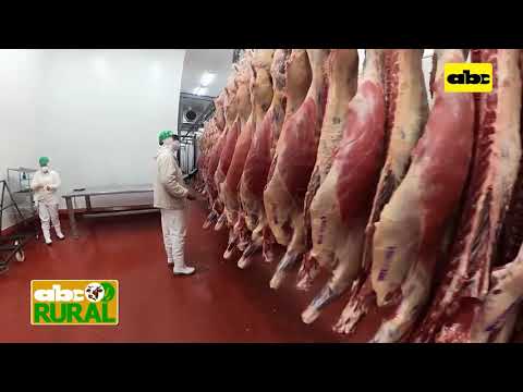 ABC Rural: Informaciones rurales nacionales: Carne ingresaría a Paraguay 1500 millones de dólares