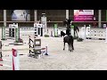 障碍赛马匹 13 jarig springpaard level 1m20