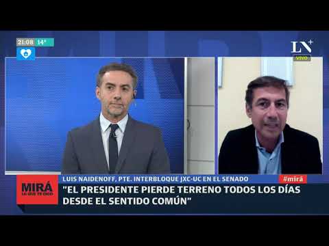 Luis Naidenoff: Me preocupa la licuación del poder de Alberto Fernández