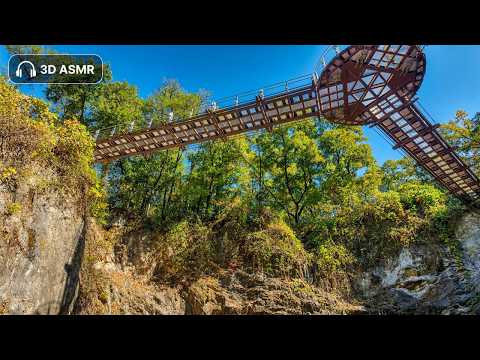 [4K 3D ASMR] Dodeoksan Forest Hike &amp; Suspension Bridge | Korea (No Talking)