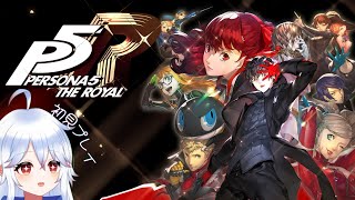 【ゆる雑】初見プレイ！隙あらば遊んじゃう 12月9日～ 先に進めるぞー！【#ペルソナ5ザ・ロイヤル / ＃Vtuber 】#23