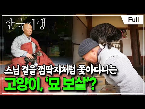 [Full] 한국기행 - 네가 있어 참 좋다 1부 기묘한 동거