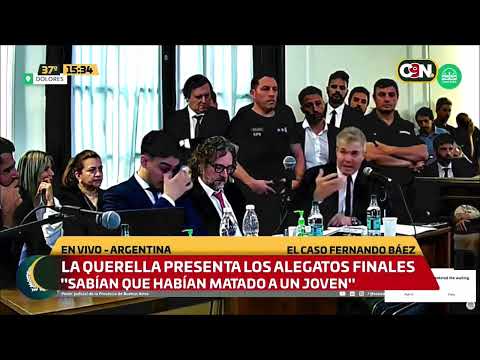 Caso Fernando Báez: La Querella presenta los alegatos finales
