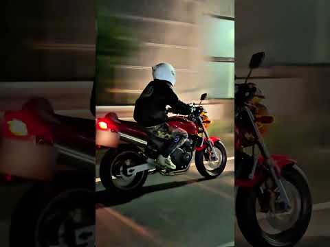 Japan night rider【Hornet250】