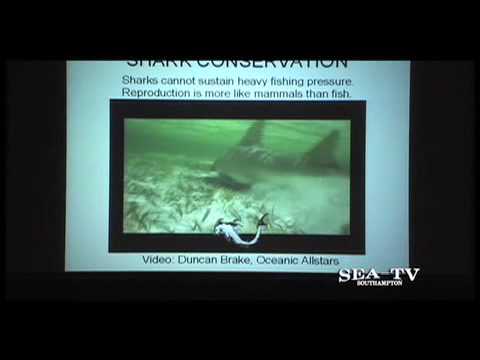 Shark Live Birth: Institute for Ocean Conservation Science