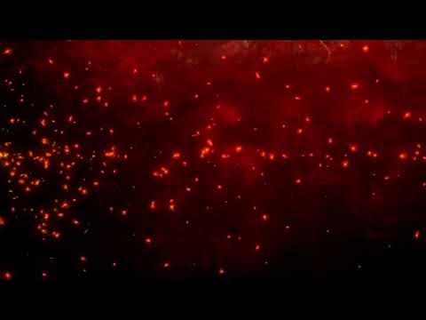 КОЛО СВІТЛА