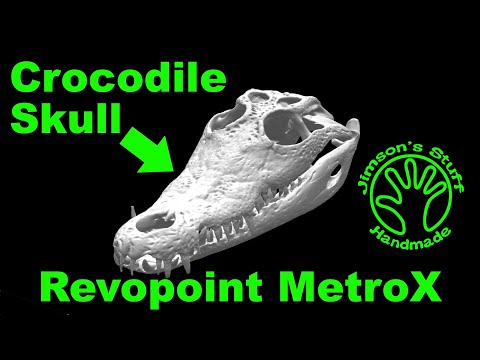 Crocodile Skull Scanning with the Revopoint MetroX