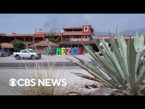 60 Minutes reports on mezcal in Mexico