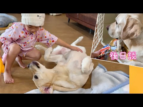 祭り前のゴンとサンとユウ/後日談:犯人は誰だ