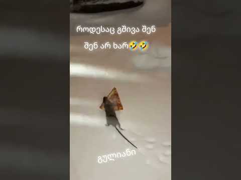 Ты не ты, когда голоден!