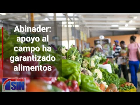 Abinader: apoyo al campo ha garantizado alimentos
