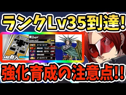 【ペルソナ5X】ランクLv35到達!!強化育成の注意点!啓示&プレイヤー経験値&スタミナ周回&怪盗育成&ペルソナ&スキーマ&戦闘の注意点!【P5X】