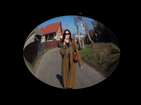 ревізор в мукачево, ода львову, критика києва