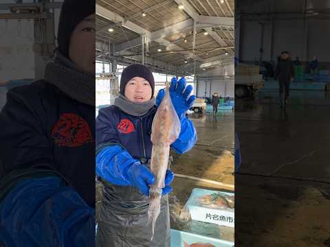 冬枯れ市場からお届けします😭#うお一番 #市場 #seafood