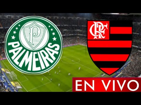 Donde ver Palmeiras vs. Flamengo en vivo, La Final Copa Libertadores 2021