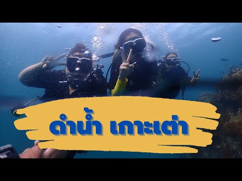 Vlog-เรียนดำน้ำ-ที่เกาะเต่า-สุ