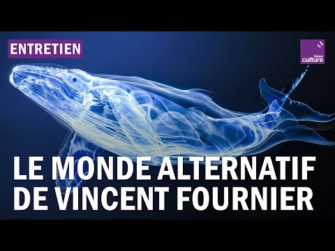 Vido de Vincent Fournier