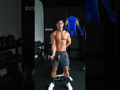 How to maximize the small muscle groups that make you look good